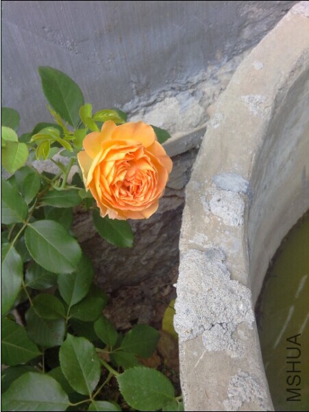 QQͼƬ20140622201603.jpg