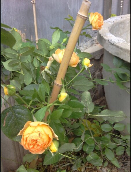 QQͼƬ20140622201541.jpg