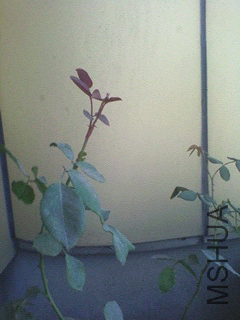 1403482993507.jpg