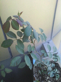 1403483110198.jpg