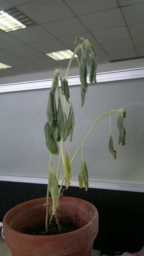 2014-06-23-025.jpg