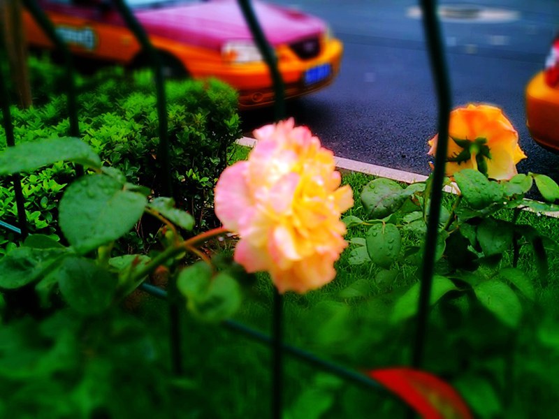 C360_2011-07-25 07-30-32.jpg