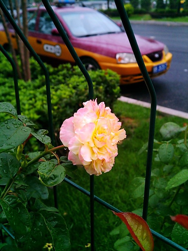 C360_2011-07-25 07-30-41_org.jpg