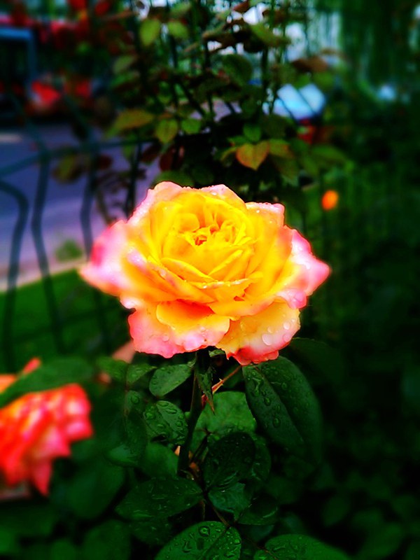 C360_2011-07-25 07-31-47.jpg