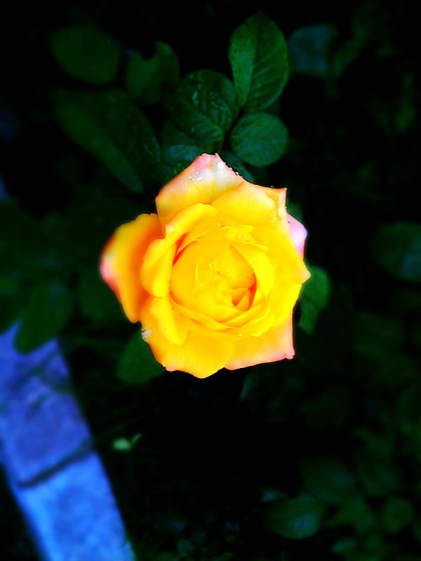 C360_2011-07-25 07-32-52.jpg