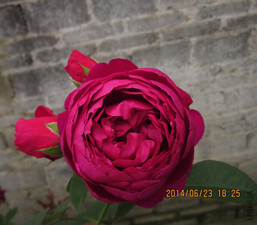 QQͼƬ20140623185502.jpg