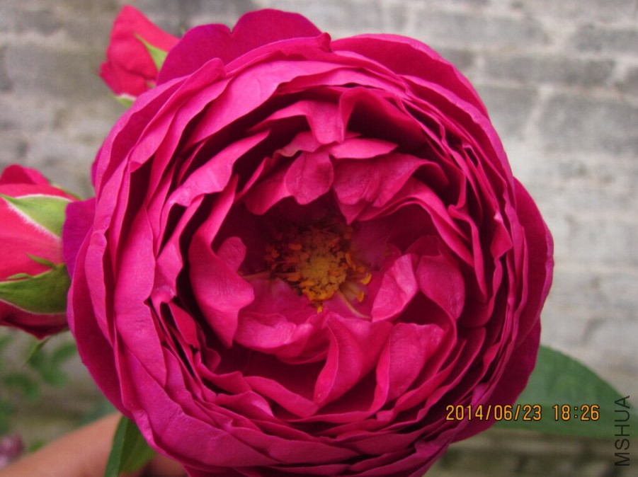 QQͼƬ20140623185505.jpg