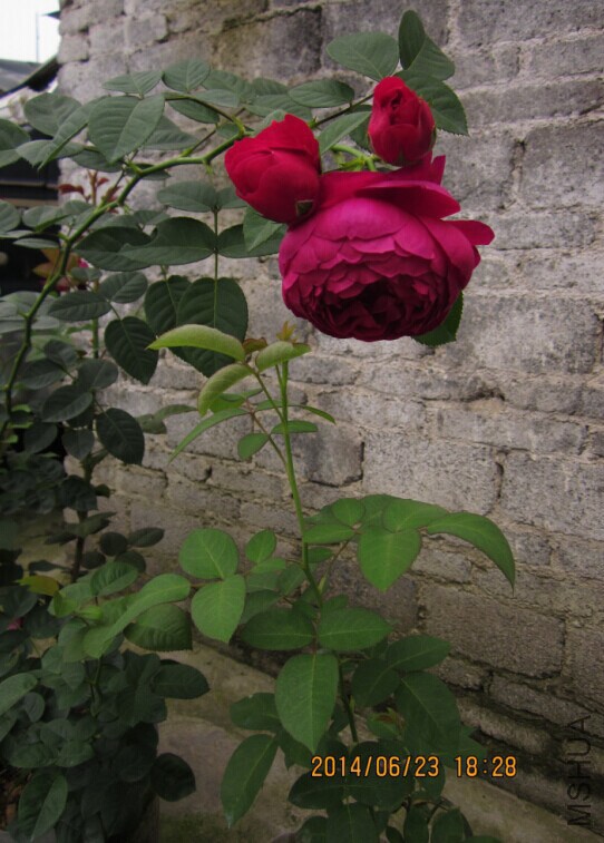 QQͼƬ20140623185518.jpg