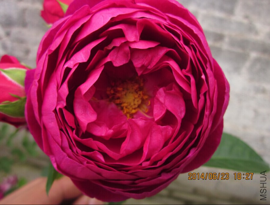QQͼƬ20140623185512.jpg