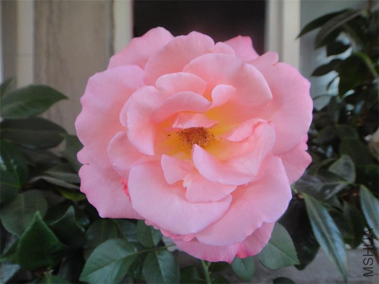 ��Ƭ 011.jpg