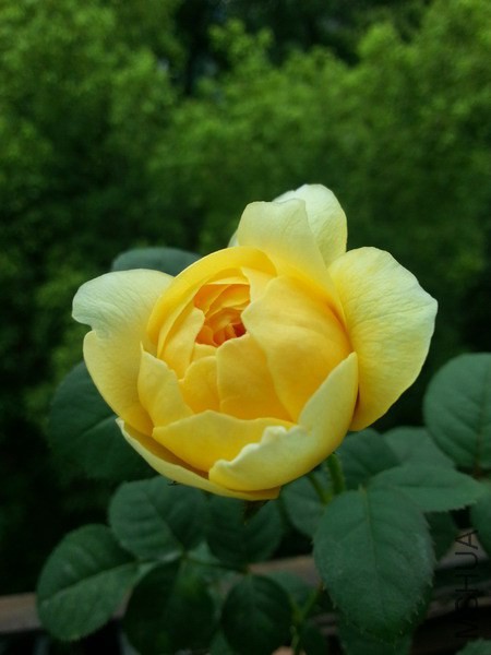 20140624_104840_��С��С.jpg