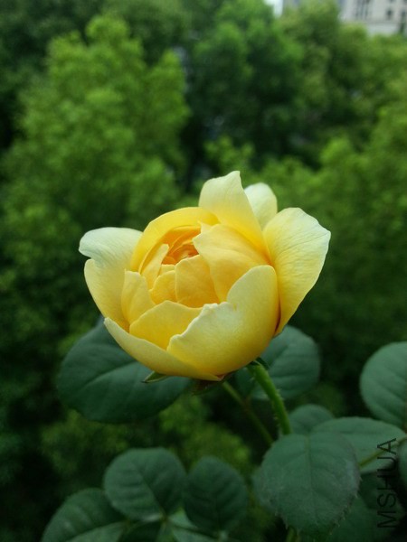 20140624_104845_��С��С.jpg