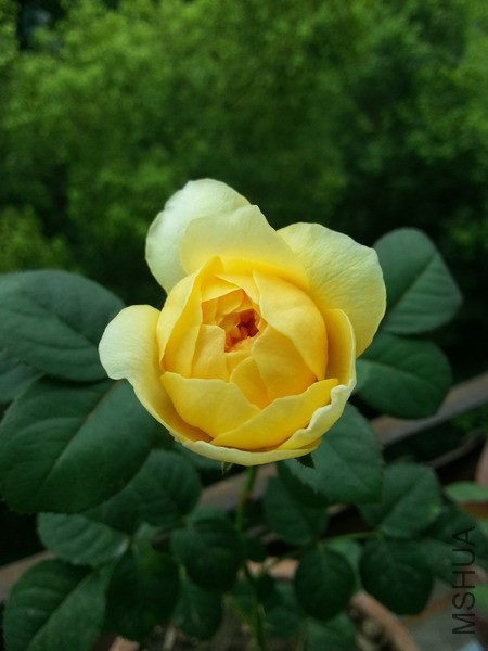 20140624_105026_��С��С.jpg