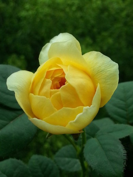 20140624_105319_��С��С.jpg