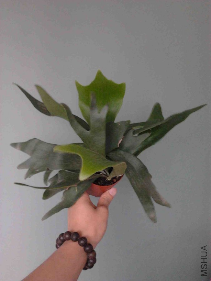 2014-06-21 15.33.29.jpg