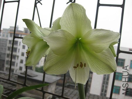 ��Ƭ2014 333.jpg