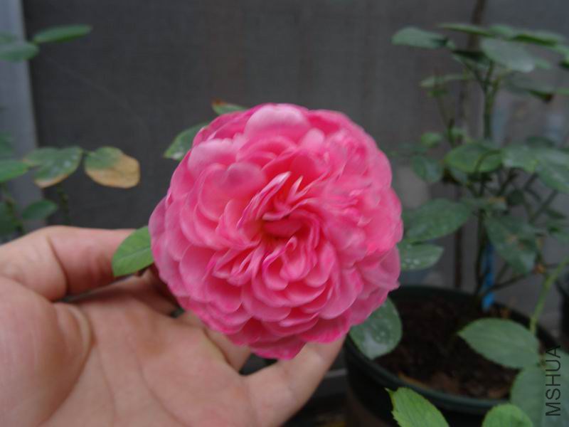 DSC01595.JPG