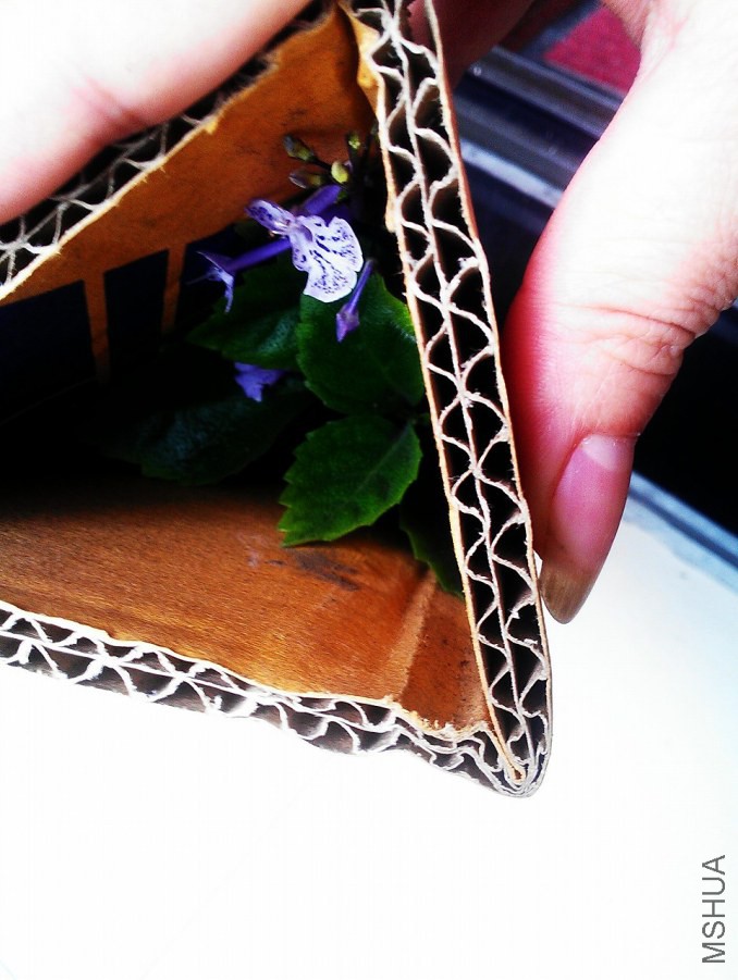 ����޹�²ݵ������ΰ�װ��ȷʵ��רҵ�ĸо�