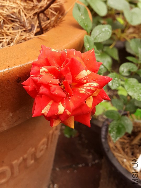 20140625_123429_��С��С.jpg