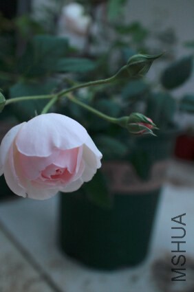 QQ��ͼ20140625205635.jpg