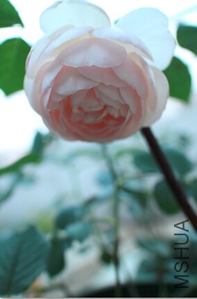 QQ��ͼ20140625205658.jpg