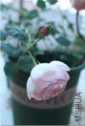 QQ��ͼ20140625205716.jpg