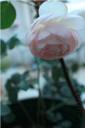 QQ��ͼ20140625205706.jpg