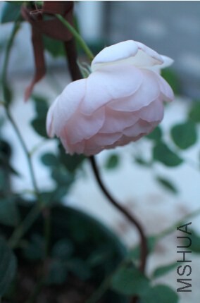 QQ��ͼ20140625205755.jpg