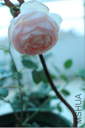 QQ��ͼ20140625205748.jpg