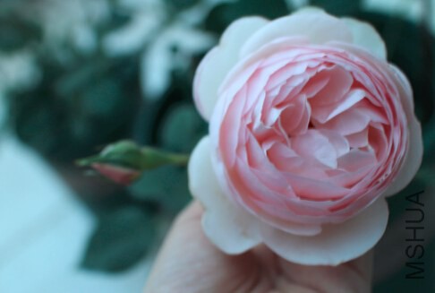 QQ��ͼ20140625210404.jpg