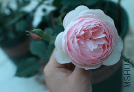 QQ��ͼ20140625210433.jpg