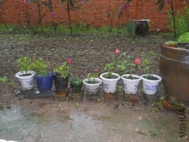 DSCN2389.JPG