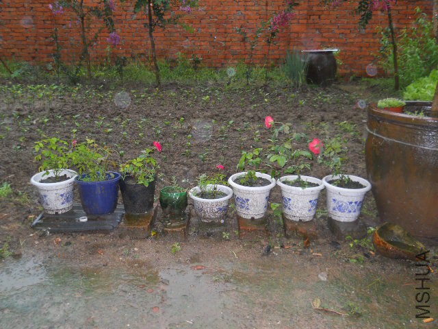 DSCN2387.JPG
