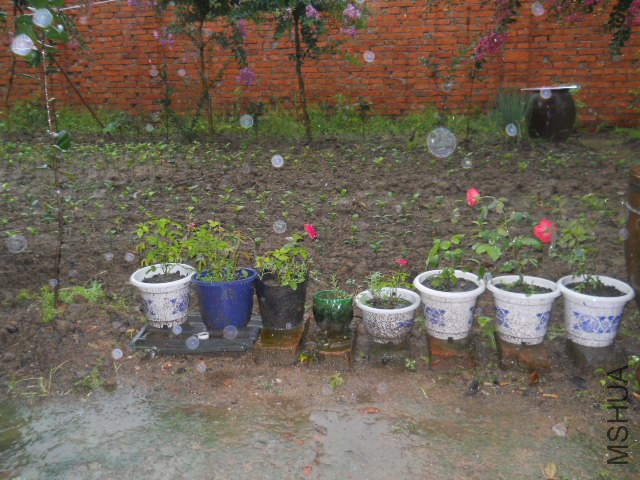 DSCN2388.JPG