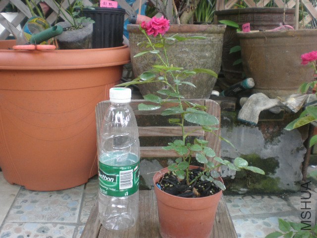 P1012191.JPG