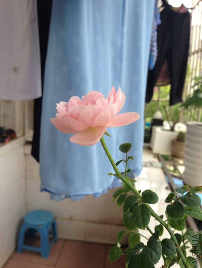 IMG_28331.jpg