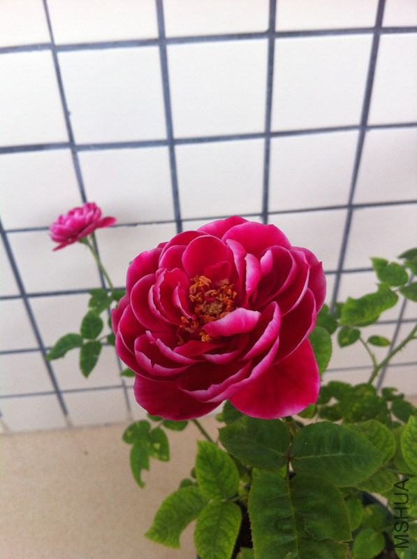 ��Ƭ 008_����_����.jpg