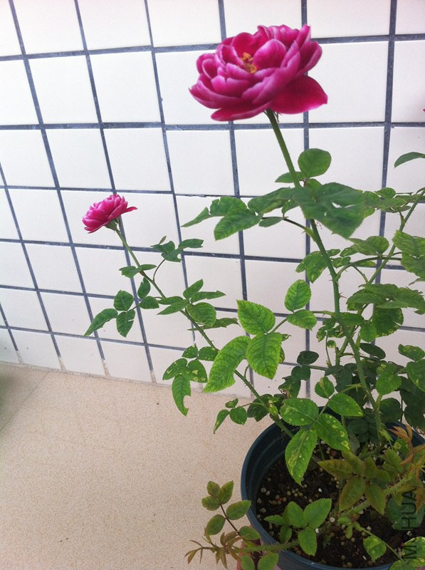 ��Ƭ 010_����_����.jpg