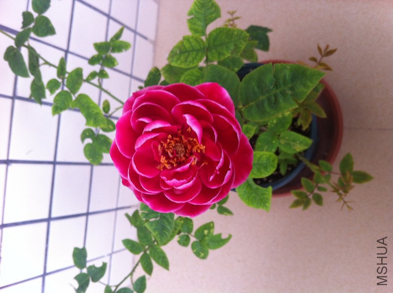 ��Ƭ 011_����_����.jpg