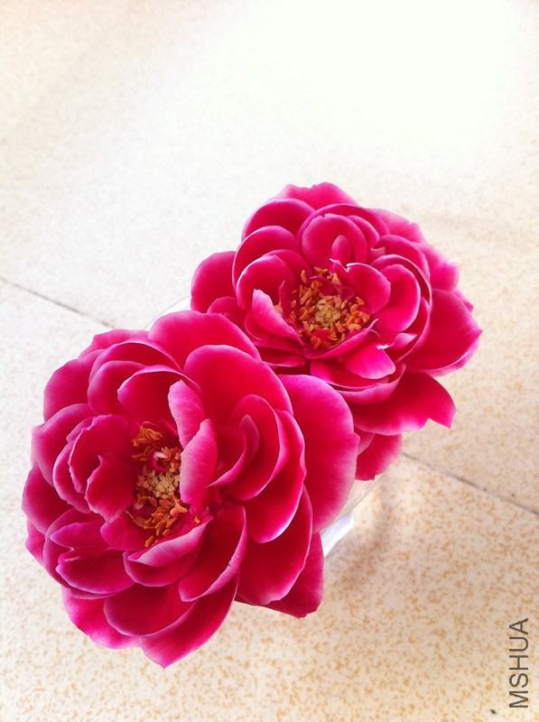 ��Ƭ 013_����_����.jpg