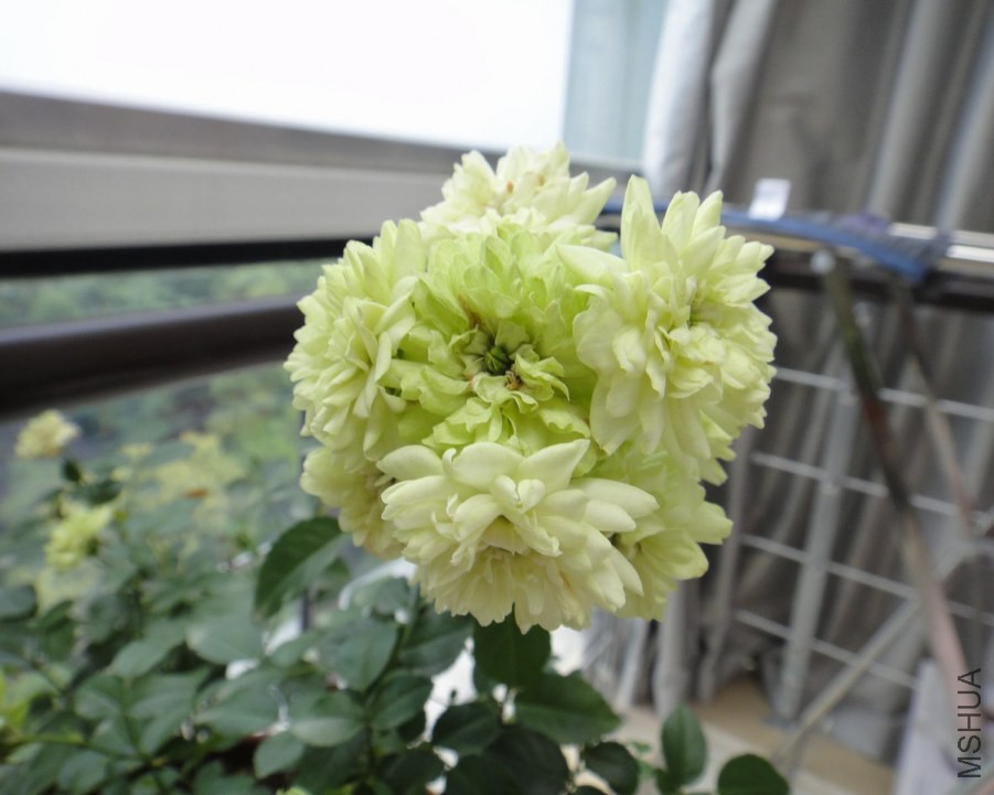 DSC08664.JPG