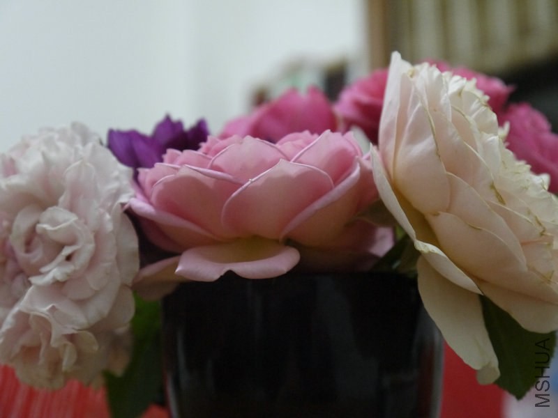 _1040895.JPG
