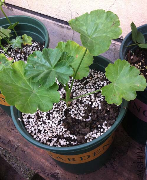 6��26~~����С��~~