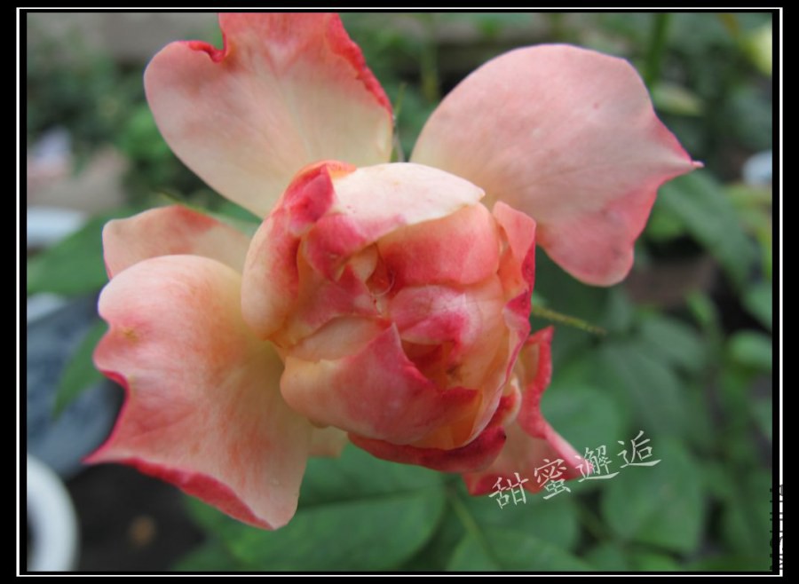 ��Ƭ3 031_����.jpg