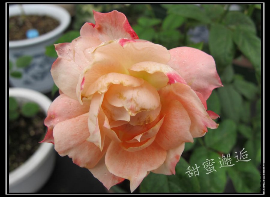 ��Ƭ3 035_����.jpg