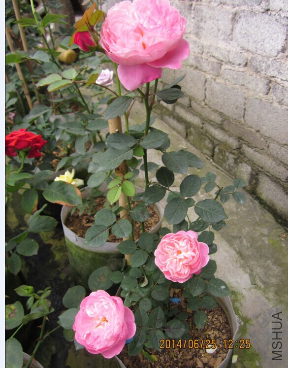 QQͼƬ20140625151511.jpg