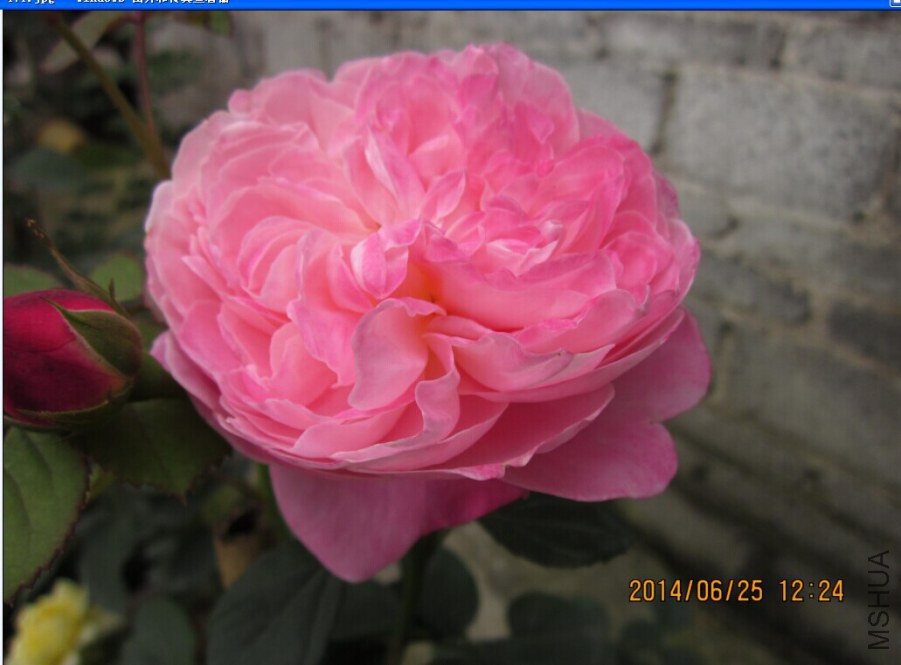 QQͼƬ20140625151515.jpg