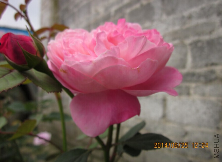 QQͼƬ20140625151518.jpg