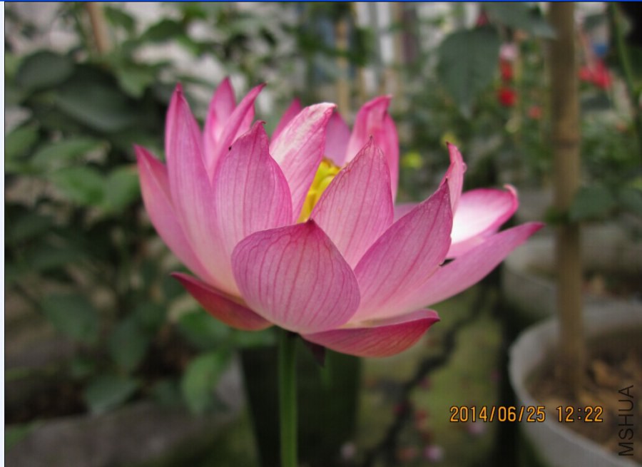 QQͼƬ20140625151529.jpg