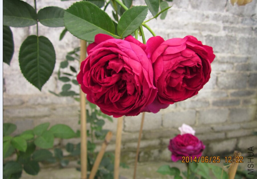 QQͼƬ20140625151544.jpg